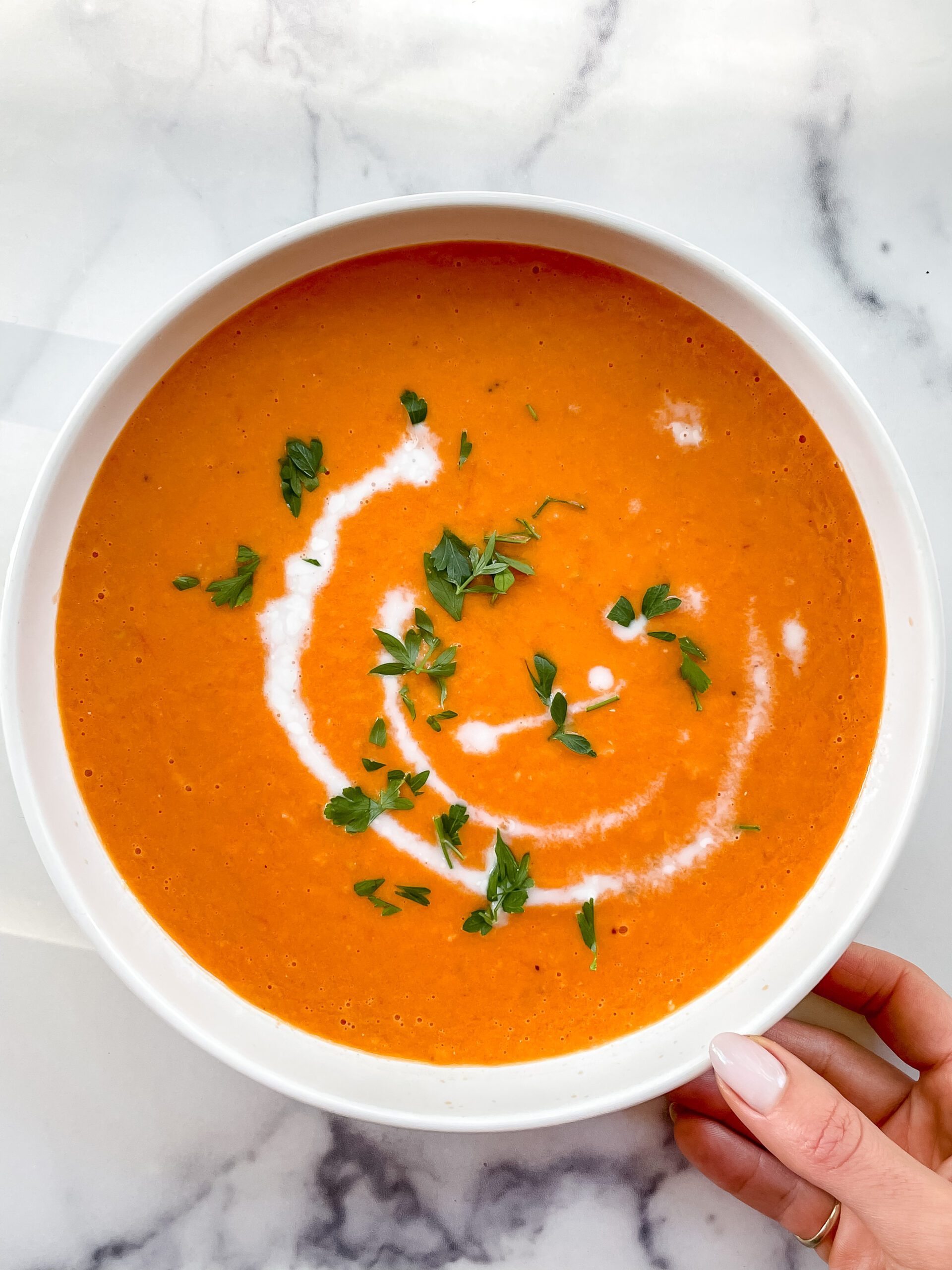 Creamy Roasted Tomato Soup                     (Vegan, Gluten Free)