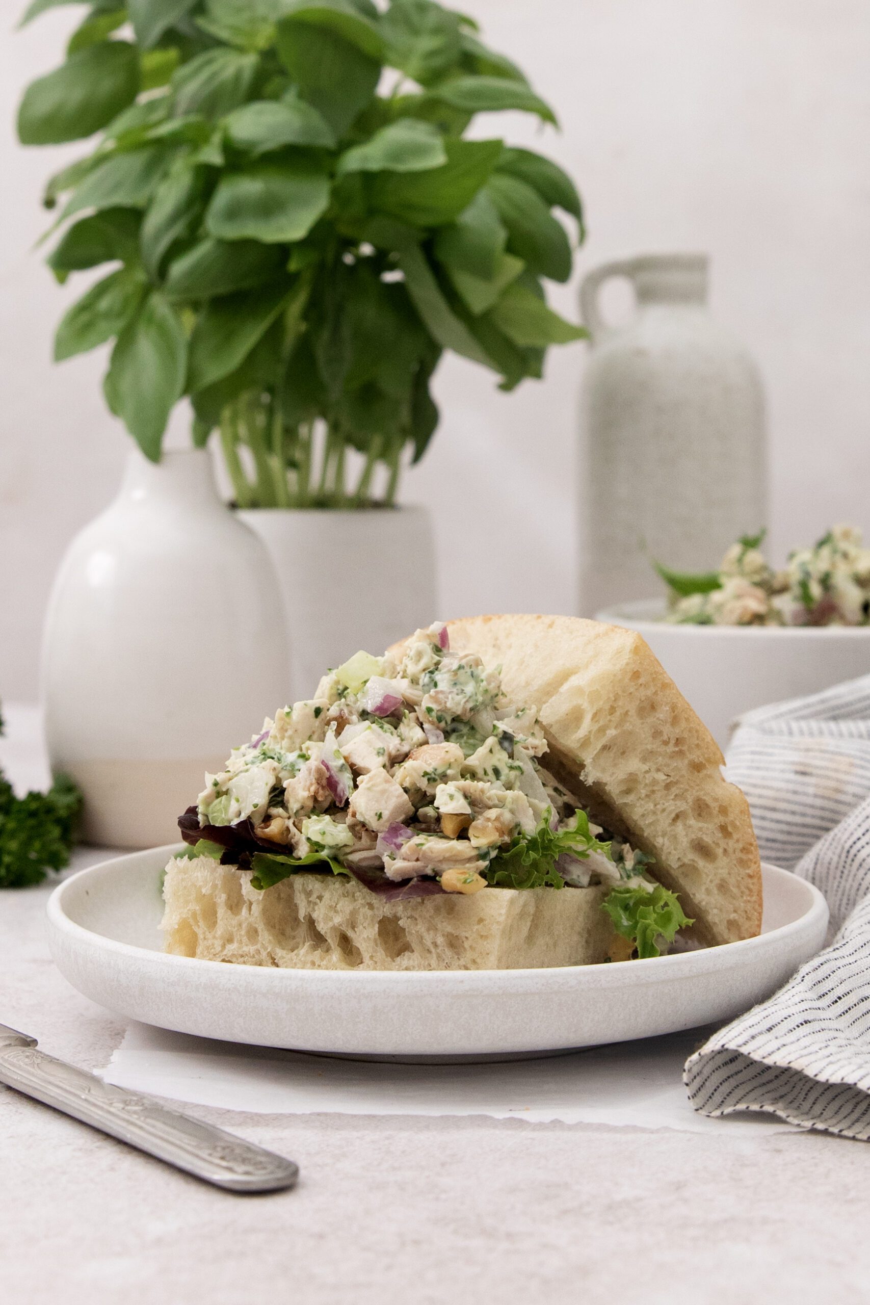 A plate with a sandwich filled with salad, leafy greens, and chopped vegetables, served on rustic bread. In the background are green basil plants and ceramic vases, creating a fresh, natural setting.